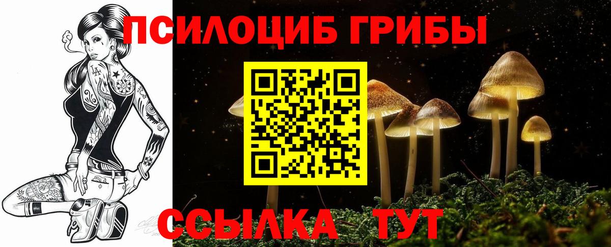 Галлюциногенные грибы Psilocybe  Вход с VPN  Кириши 
