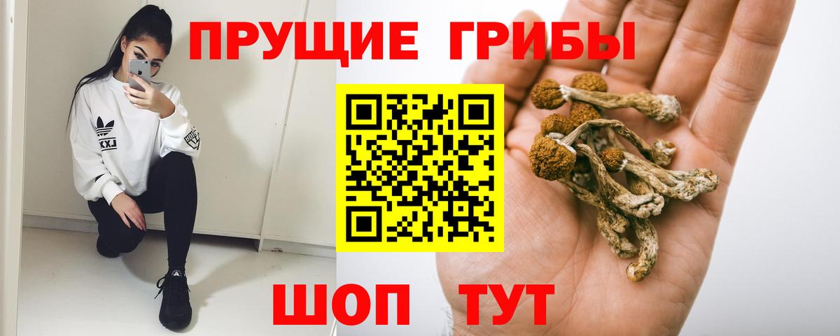 Галлюциногенные грибы MAGIC MUSHROOMS Кириши