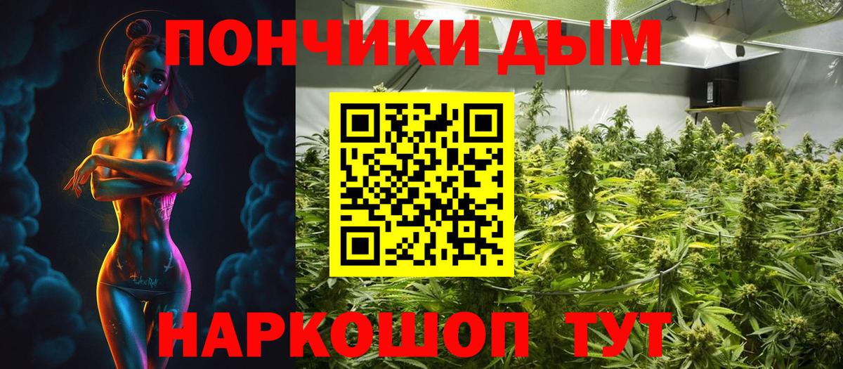 Бошки Шишки гибрид Кириши